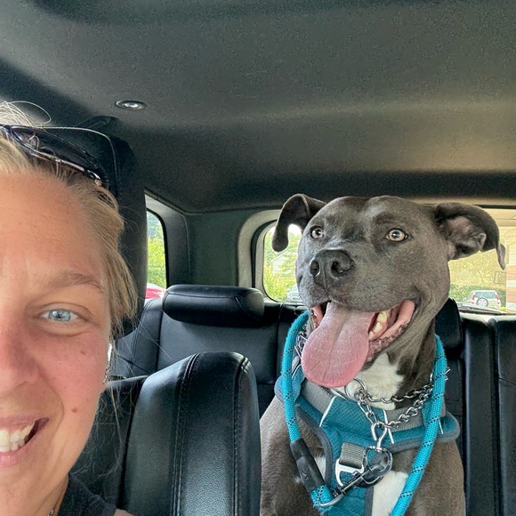 Meet your Posher, Ashley - Picture 3 of 4